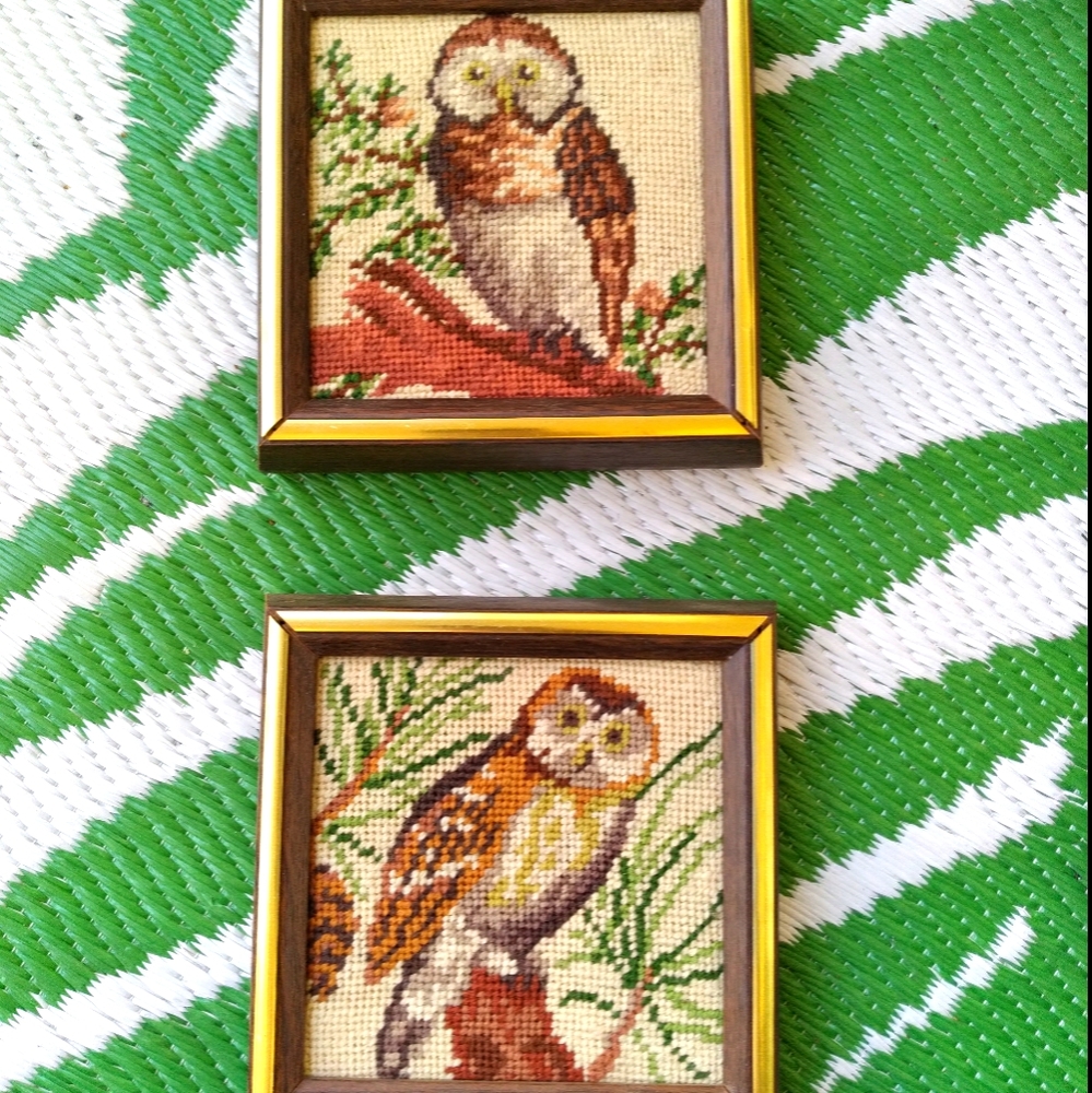 Vintage Owl Needlework Crewl